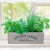 Kitchen Herb Garden Kit 2 Kitchen Herb Garden Kit -Feathered Garden pl2000023930