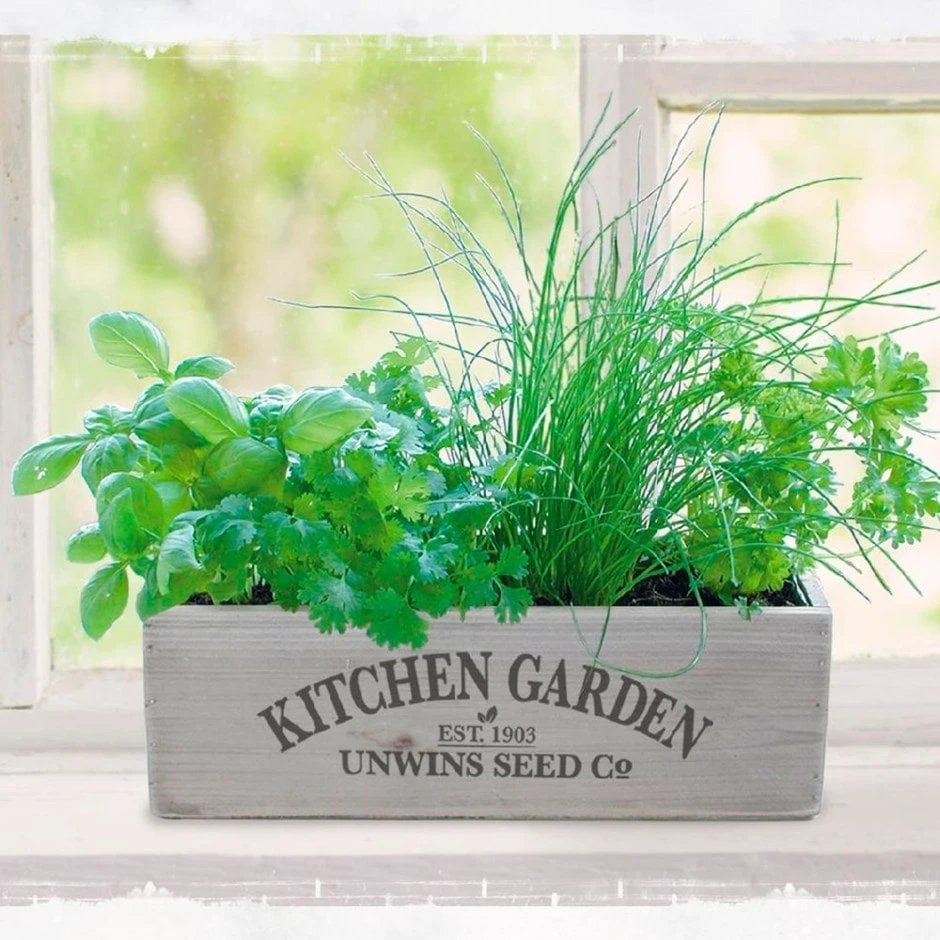 Kitchen Herb Garden Kit 3 Kitchen Herb Garden Kit