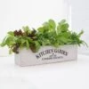Kitchen Salad Garden Kit -Feathered Garden pl2000023931