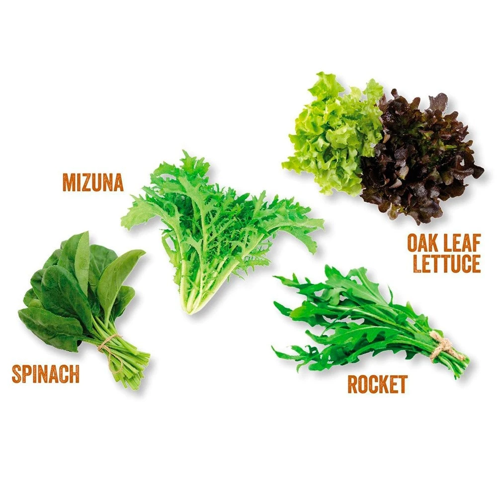 Kitchen Salad Garden Kit 5 Kitchen Salad Garden Kit - Image 3