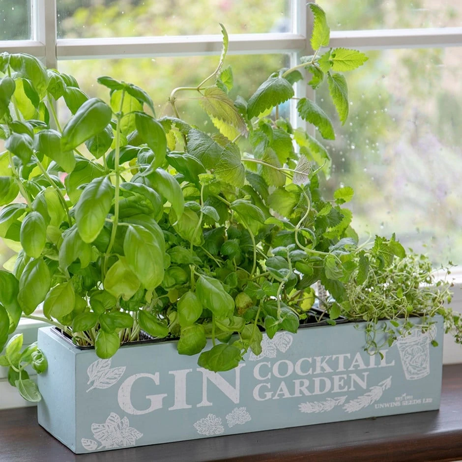 Gin Cocktail Herb Garden Kit 3 Gin Cocktail Herb Garden Kit