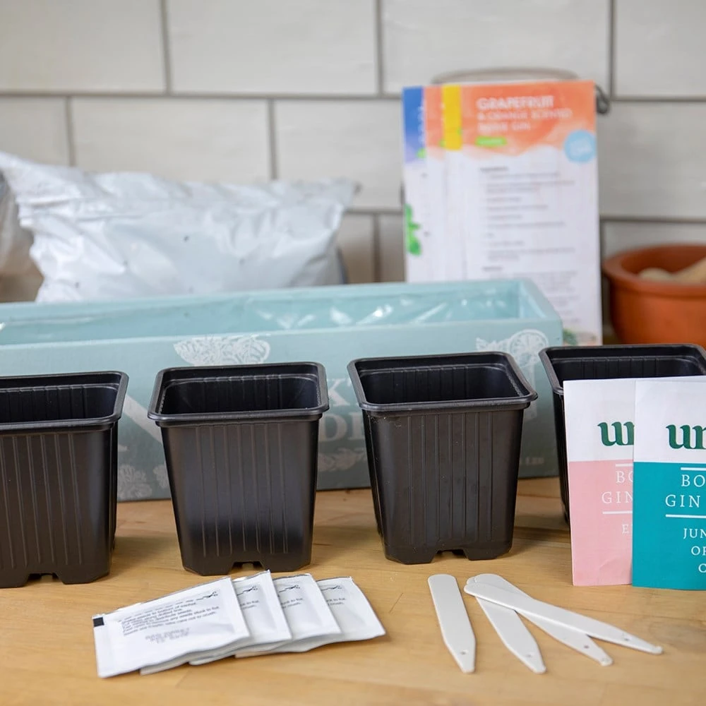 Gin Cocktail Herb Garden Kit 6 Gin Cocktail Herb Garden Kit - Image 4