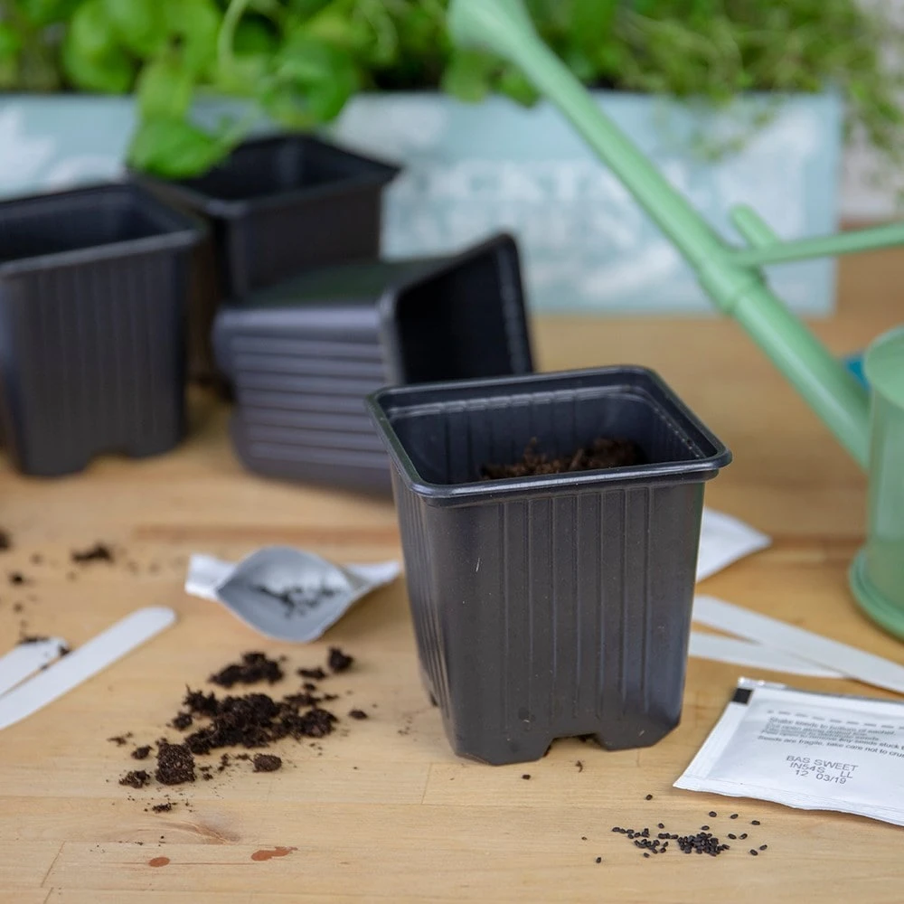 Gin Cocktail Herb Garden Kit 7 Gin Cocktail Herb Garden Kit - Image 5