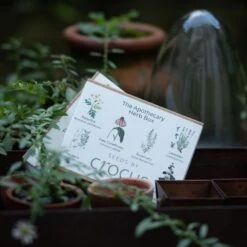 Apothecary Herbs Seed Gift Box -Feathered Garden pl2000024987 card3 lg