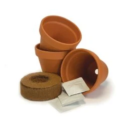 Chilli Starter Kit 7 Chilli Starter Kit -Feathered Garden pl2000025461 card3 lg
