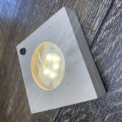 Hydroponic Clusia Rosea 'Princess' (PBR) And LED Light 11 Hydroponic Clusia Rosea 'Princess' (PBR) And LED Light -Feathered Garden pl2000035890 card5 lg