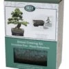 Bonsai Pine - Seed Growing Kit 1 Bonsai Pine - Seed Growing Kit -Feathered Garden pl2000039320