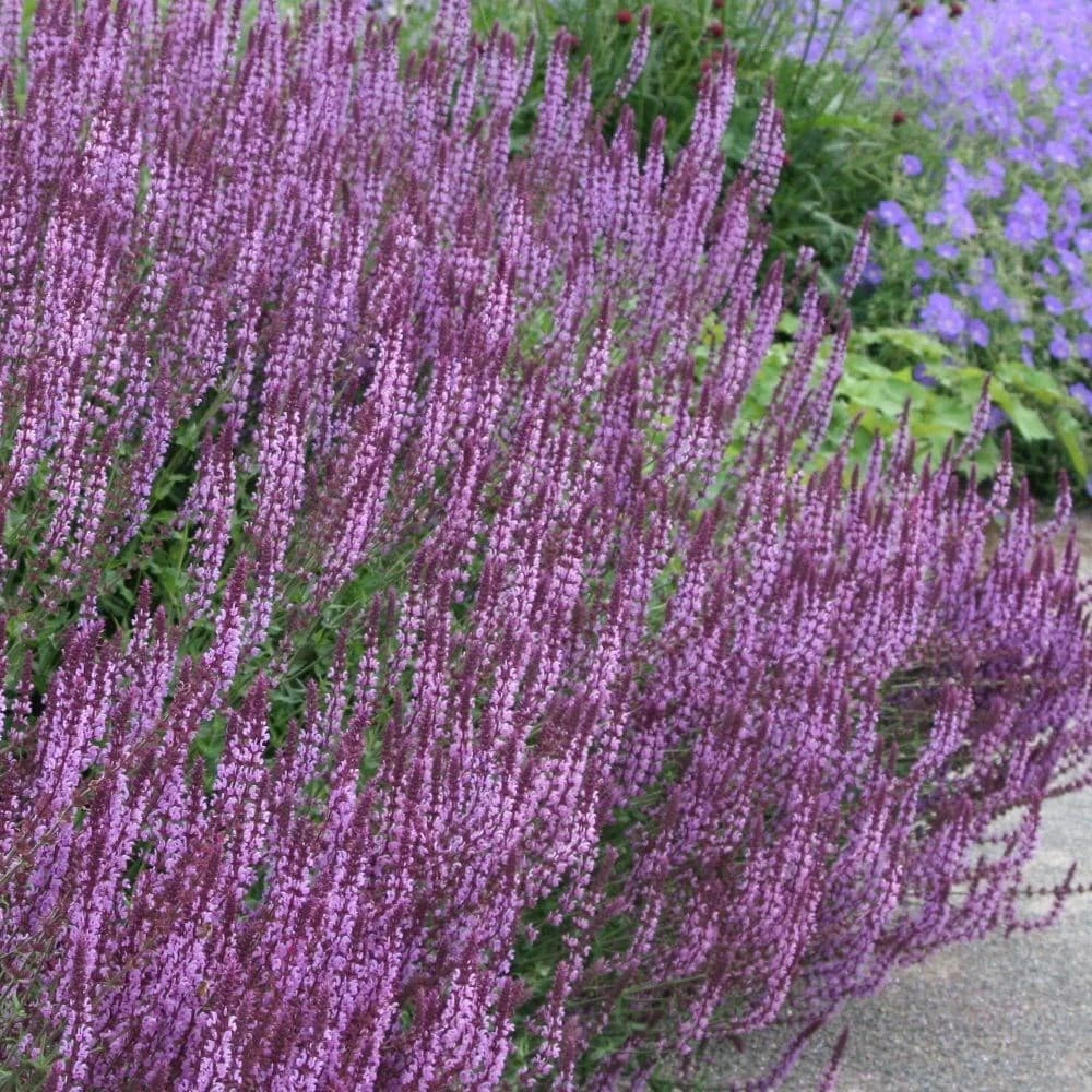 Circles & Spires Collection 5 Circles & Spires Collection - Image 3