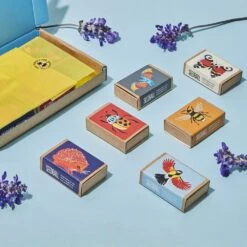 Seedballs Wildlife Collection 11 Seedballs Wildlife Collection -Feathered Garden pl2000043179 card4 lg