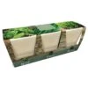 Ceramic Windowsill Herb Gift Set 2 Ceramic Windowsill Herb Gift Set -Feathered Garden pl2000045606