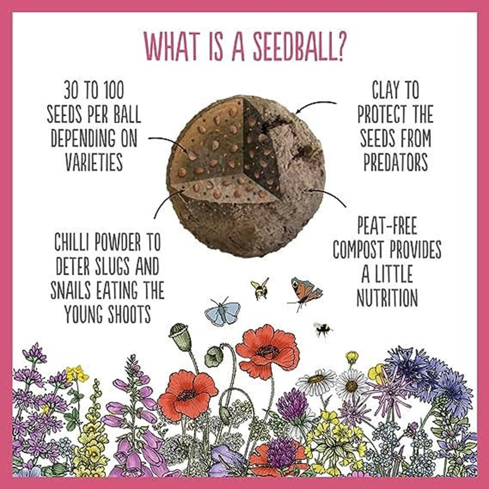 Seedballs Native Wildflowers For Wildlife 4 Seedballs Native Wildflowers For Wildlife - Image 2