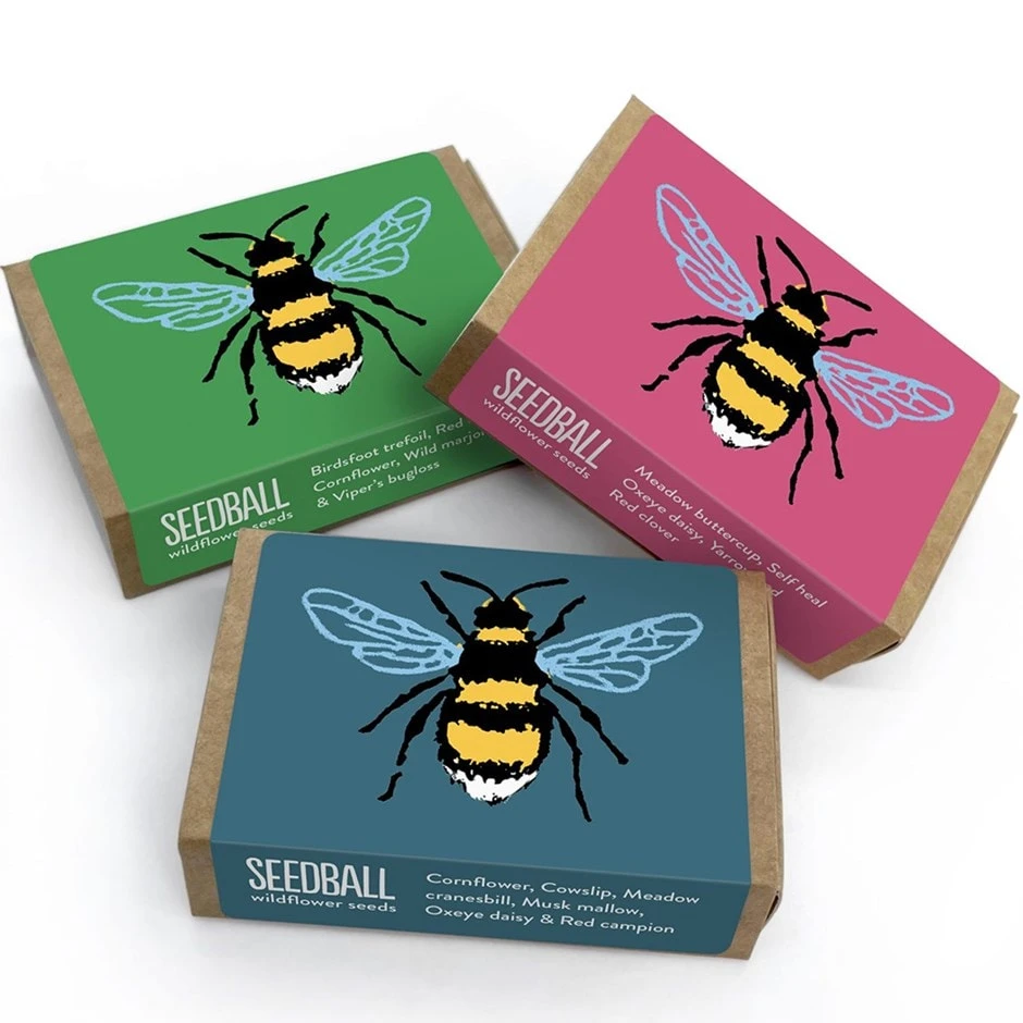 Seedballs Bee Matchboxes 3 Seedballs Bee Matchboxes