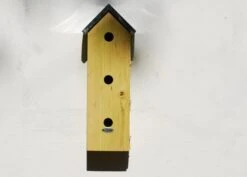 Sparrow Flats 8 Sparrow Flats -Feathered Garden pr2000005252 card2 lg