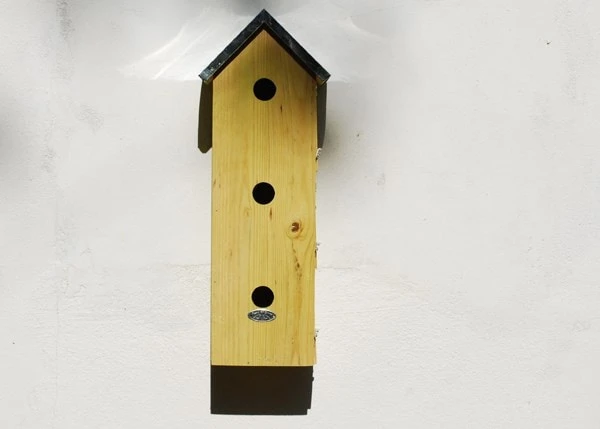 Sparrow Flats 4 Sparrow Flats - Image 2