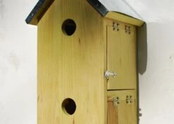 Sparrow Flats 9 Sparrow Flats -Feathered Garden pr2000005252 card3 lg