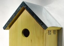 Sparrow Flats 10 Sparrow Flats -Feathered Garden pr2000005252 card4 lg