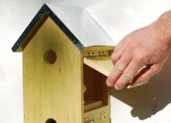 Sparrow Flats 11 Sparrow Flats -Feathered Garden pr2000005252 card5 lg