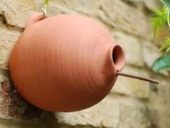 Blue Tit Terracotta Bird Pot 7 Blue Tit Terracotta Bird Pot -Feathered Garden pr2000007298 card3 lg