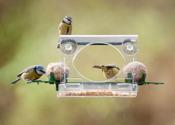 Complete Window Feeder For Birds 4 Complete Window Feeder For Birds - Image 2