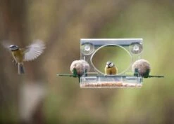 Complete Window Feeder For Birds 8 Complete Window Feeder For Birds -Feathered Garden pr2000008345 card3 lg