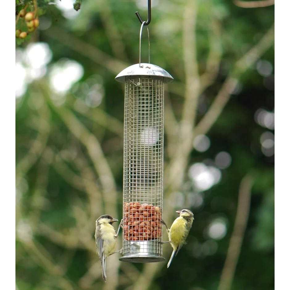 Heavy Duty Nut Feeder 3 Heavy Duty Nut Feeder