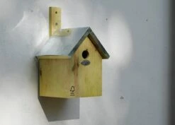 Blue Tit Nesting Box 8 Blue Tit Nesting Box -Feathered Garden pr2000013164 card3 lg