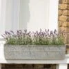 Embossed Galvanised Window Trough 2 Embossed Galvanised Window Trough -Feathered Garden pr2000018441