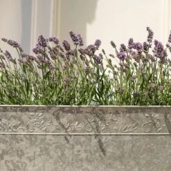 Embossed Galvanised Window Trough 14 Embossed Galvanised Window Trough -Feathered Garden pr2000018441 card4 lg