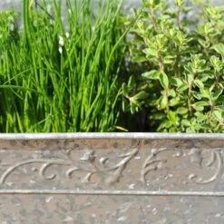 Embossed Galvanised Window Trough 16 Embossed Galvanised Window Trough -Feathered Garden pr2000018441 card6 lg