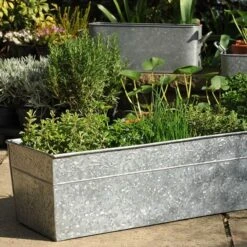 Embossed Galvanised Window Trough 18 Embossed Galvanised Window Trough -Feathered Garden pr2000018441 card8 lg