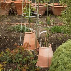 Clematis Root Protector 11 Clematis Root Protector -Feathered Garden pr2000020697 card3 lg