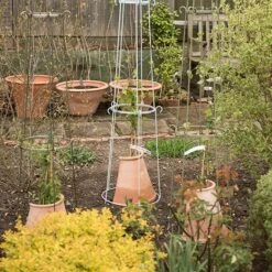 Clematis Root Protector 12 Clematis Root Protector -Feathered Garden pr2000020697 card4 lg