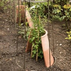 Clematis Root Protector 13 Clematis Root Protector -Feathered Garden pr2000020697 card5 lg