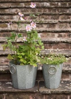 Faceted Galvanised Planter 16 Faceted Galvanised Planter -Feathered Garden pr2000027856 card5 lg