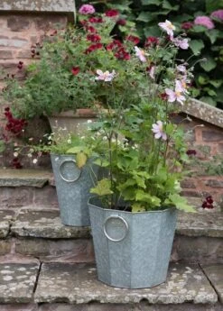 Faceted Galvanised Planter 17 Faceted Galvanised Planter -Feathered Garden pr2000027856 card6 lg