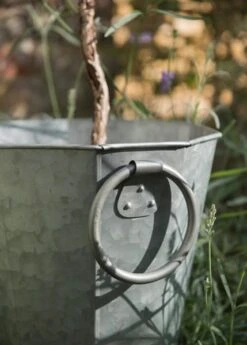 Faceted Galvanised Planter 19 Faceted Galvanised Planter -Feathered Garden pr2000027856 card8 lg