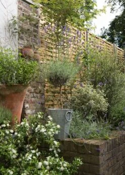 Faceted Galvanised Planter 20 Faceted Galvanised Planter -Feathered Garden pr2000027856 card9 lg