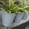 Galvanised Wall Planters - Set Of 3 1 Galvanised Wall Planters - Set Of 3 -Feathered Garden pr2000027861