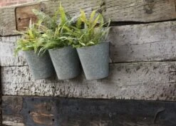 Galvanised Wall Planters - Set Of 3 10 Galvanised Wall Planters - Set Of 3 -Feathered Garden pr2000027861 card2 lg