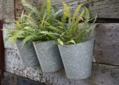 Galvanised Wall Planters - Set Of 3 11 Galvanised Wall Planters - Set Of 3 -Feathered Garden pr2000027861 card3 lg