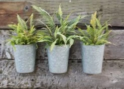 Galvanised Wall Planters - Set Of 3 12 Galvanised Wall Planters - Set Of 3 -Feathered Garden pr2000027861 card4 lg