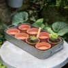 Terracotta Grow Pots - Set Of 8 With Tray 1 Terracotta Grow Pots - Set Of 8 With Tray -Feathered Garden pr2000028372
