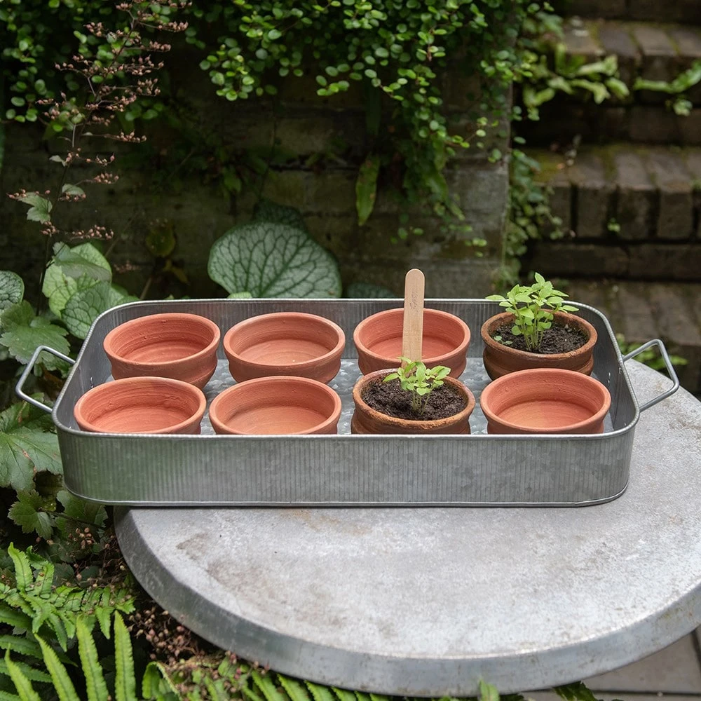 Terracotta Grow Pots - Set Of 8 With Tray 4 Terracotta Grow Pots - Set Of 8 With Tray - Image 2