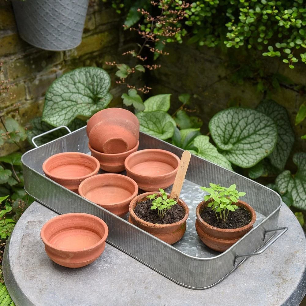 Terracotta Grow Pots - Set Of 8 With Tray 6 Terracotta Grow Pots - Set Of 8 With Tray - Image 4