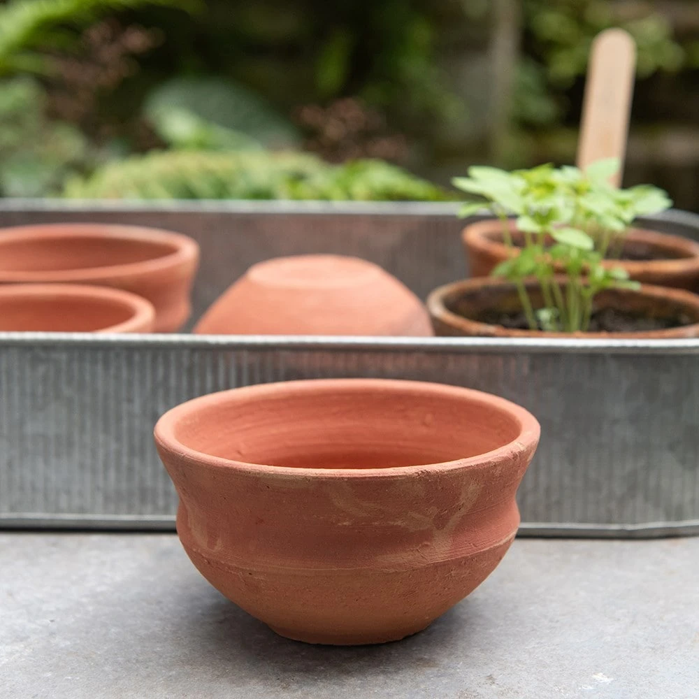 Terracotta Grow Pots - Set Of 8 With Tray 7 Terracotta Grow Pots - Set Of 8 With Tray - Image 5