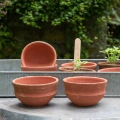 Terracotta Grow Pots - Set Of 8 With Tray 16 Terracotta Grow Pots - Set Of 8 With Tray -Feathered Garden pr2000028372 card6 lg
