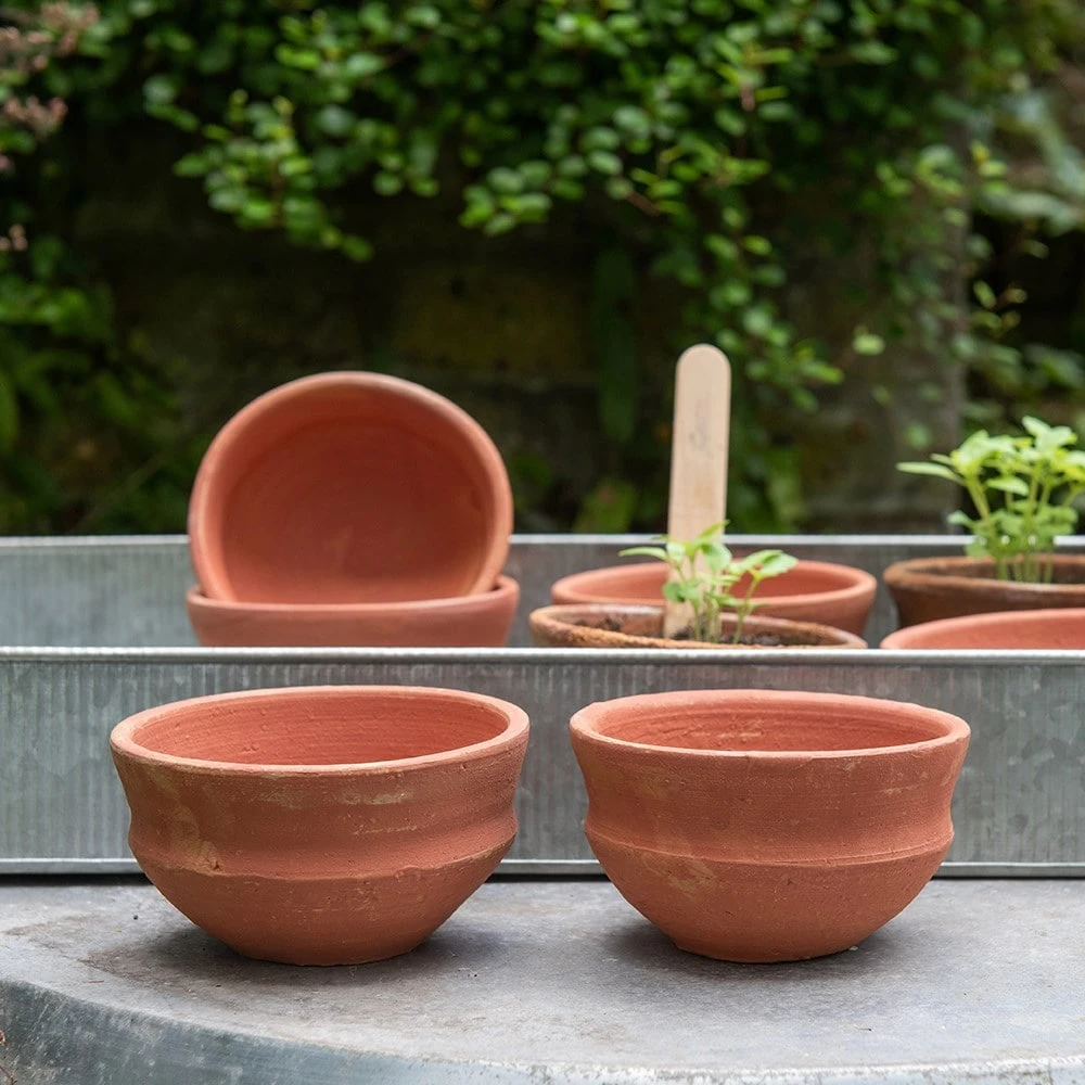 Terracotta Grow Pots - Set Of 8 With Tray 8 Terracotta Grow Pots - Set Of 8 With Tray - Image 6