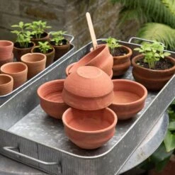 Terracotta Grow Pots - Set Of 8 With Tray 17 Terracotta Grow Pots - Set Of 8 With Tray -Feathered Garden pr2000028372 card7 lg