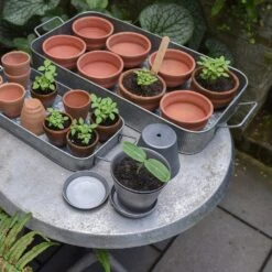 Terracotta Grow Pots - Set Of 8 With Tray 18 Terracotta Grow Pots - Set Of 8 With Tray -Feathered Garden pr2000028372 card8 lg