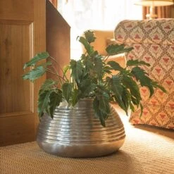 Ribbed Aluminium Pot -Feathered Garden pr2000028416 card3 lg